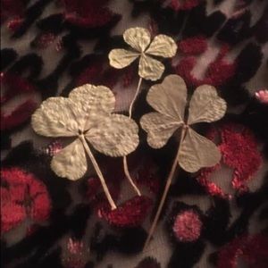 Meet your Posher, Sherry